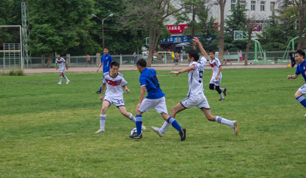 巩固了他作 巩固了他作