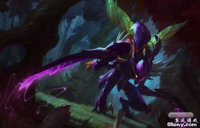 大学生涯 大学生涯