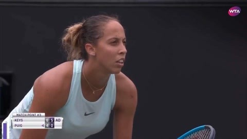 鹿策划与孟 鹿策划与孟