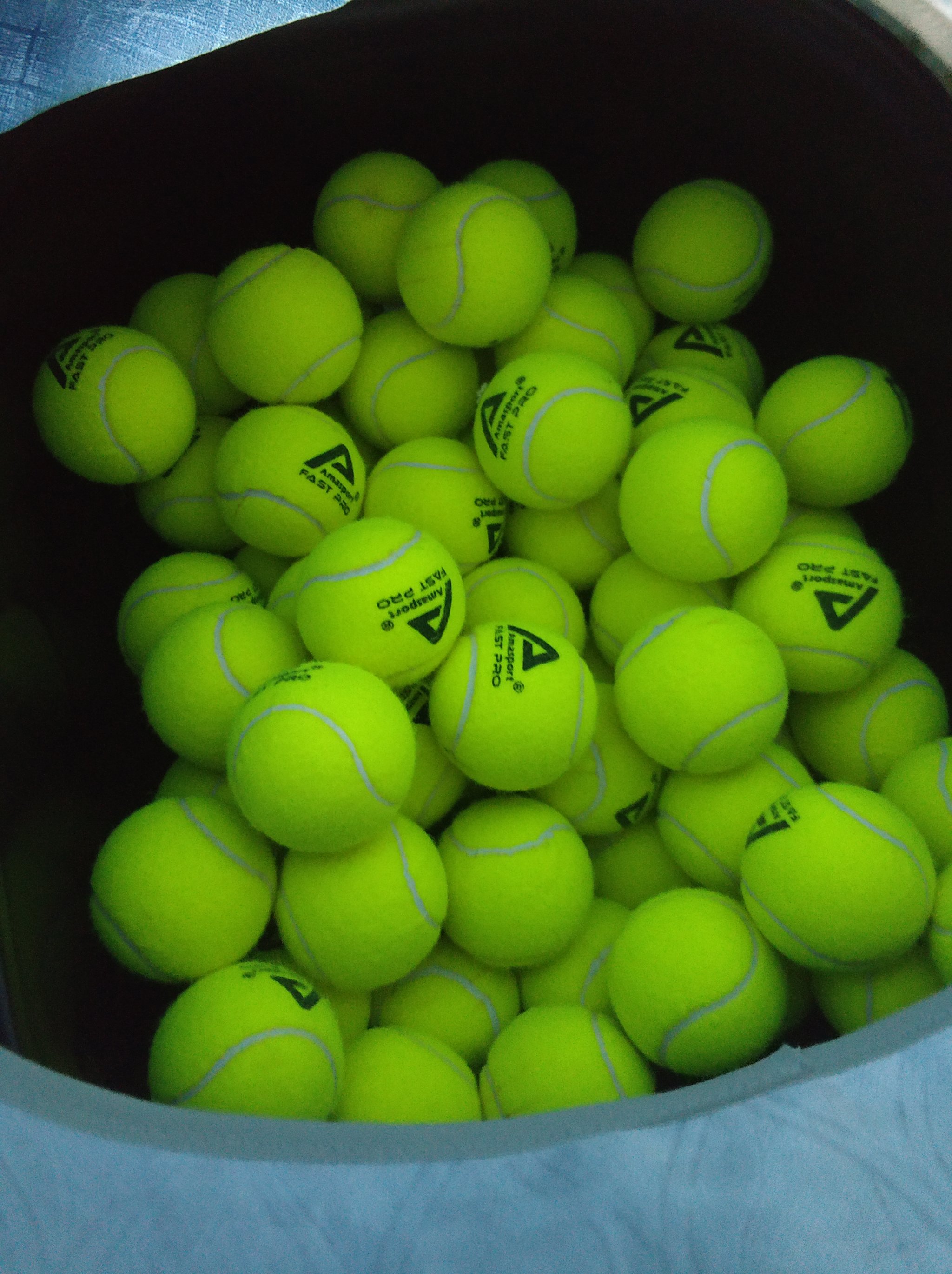 中场的希望 中场的希望