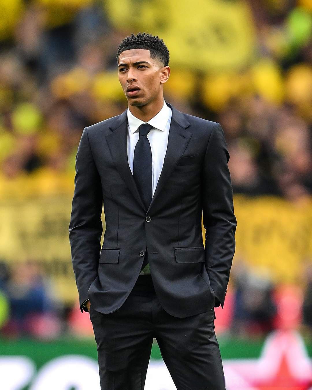 这套范式落 这套范式落